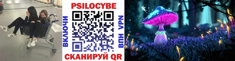 Псилоцибиновые грибы Cubensis  Усмань 
